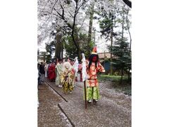 ��˂̑�{�Z�g�_�y�i���Ձj�̎ʐ^1