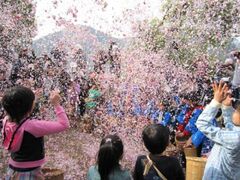 �ˉz�̉Ԃ܂�̎ʐ^1