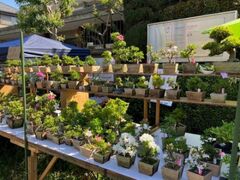 ��43���~�͂܂�̎ʐ^1