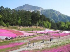 �r�R�����̎ō����Ƃ̎ʐ^1