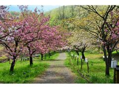 ���Ғʂ蔲���̍��̎ʐ^1