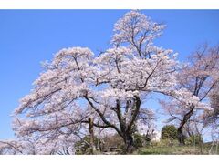 ���̎R�����̍��̎ʐ^1