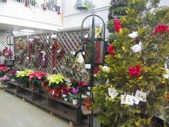 �L�������u�N���X�}�X�W�v�̎ʐ^1