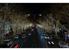 �\�Q�� �f�B�[�I�[�� �C���~�l�[�V����2026�̎ʐ^1
