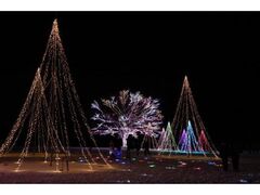 ���c�z��u�ˌ����@Xmas�C���~�l�[�V�����̎ʐ^1