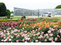 �_��A�������u�t�̃o���t�F�X�^�v�̎ʐ^1