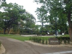 ���}�Ԍ�����̎ʐ^1