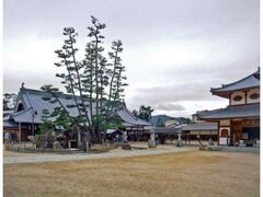 啧sē얀F@viΓnVj̎ʐ^1