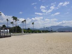 �ܐF�P�����Ղ̎ʐ^1