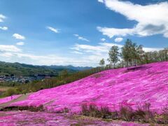 �ł�����������@�ł�����܂�̎ʐ^1