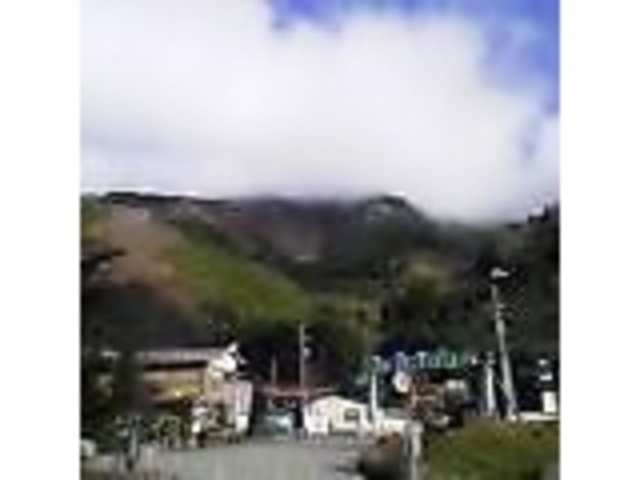 �Ȕ�����