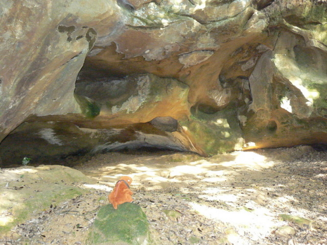 �Ă������p�p����̐򕟎�������Ղ̓��e�ʐ^1