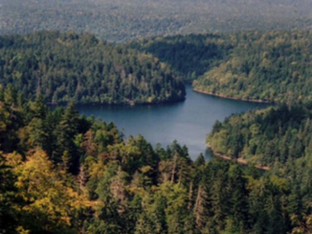 �y���P�g�[