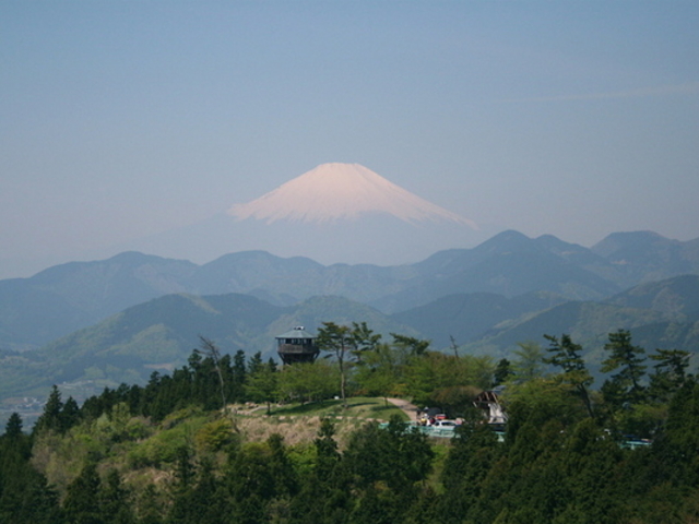 minamigaoka����̒O��D�|�̃��~�̌����т̓��e�ʐ^1