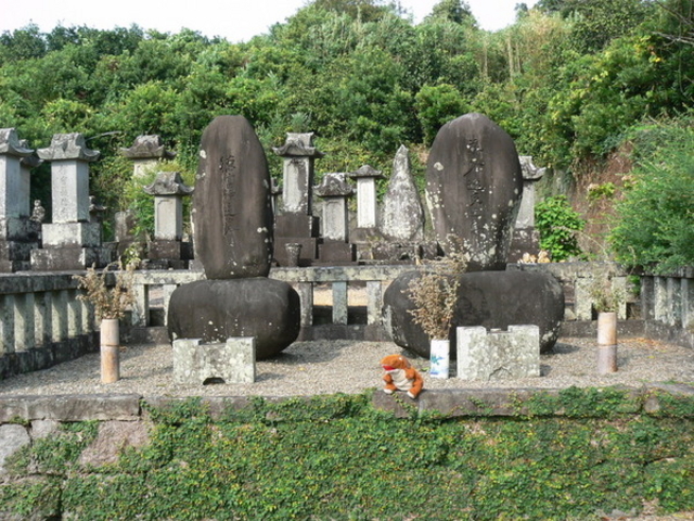 �Ă������p�p����̓��x�h���v�ȕ�n�̓��e�ʐ^1