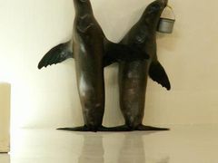 �o�ʃ}�����p�[�N�j�N�X�̎ʐ^1