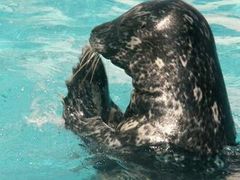 ��������݂�Ȃ̐����فi�s�����������فj�̎ʐ^1