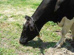 És_ƃZ^[@delaӂ[ނ̎ʐ^1