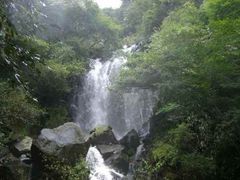 みやちやんさんの飛龍の滝（神奈川県箱根町）の投稿写真1