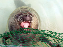 �߉��s�����ΐ����ق̎ʐ^1