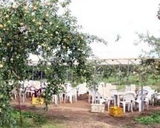 ܂ނ̋t[chւ̓eʐ^1