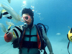 邿񂳂̈Ɍvr[`ւ̓eʐ^1