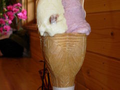 ii񂱂̃WF[gVbv@zւ̓eʐ^1