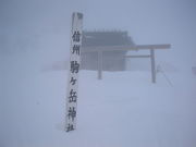 Miles̐~̃uU[h̓eʐ^1