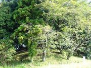 asahi����̒��ˌÕ��̓��e�ʐ^1