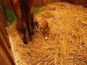 tok̗^ߍnӂꂠq̓eʐ^1