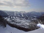 Ձ[̐㍂XL[][g̓eʐ^1