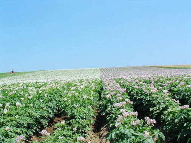 �т�����������ό��g��