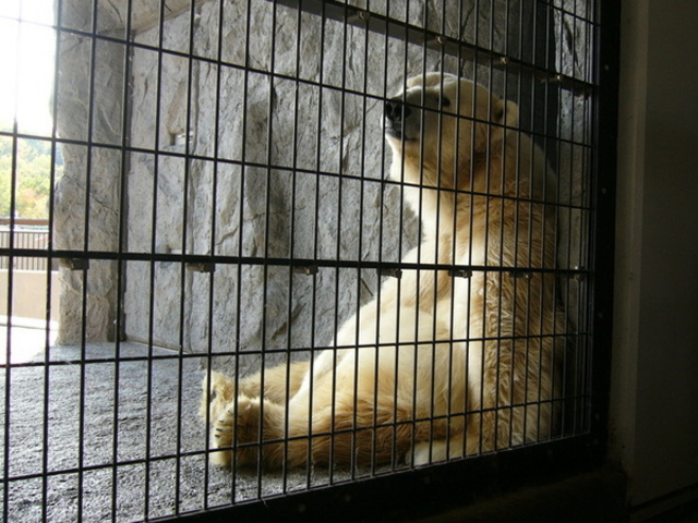 ���R������