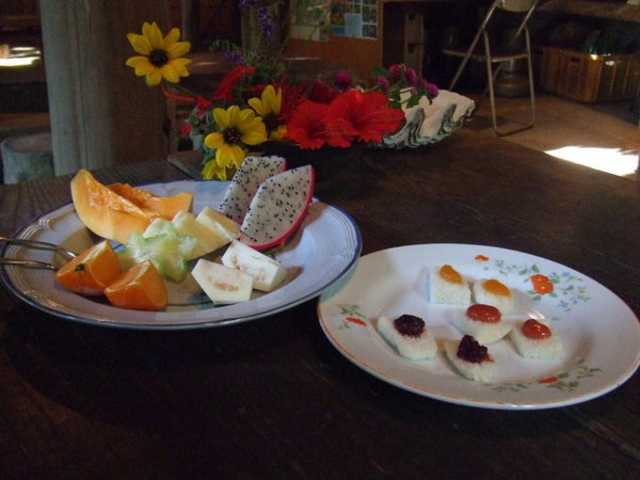 ���v���t���[�c�K�[�f���i�p�p�C���̗��j