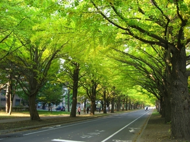 �k��C�`���E����