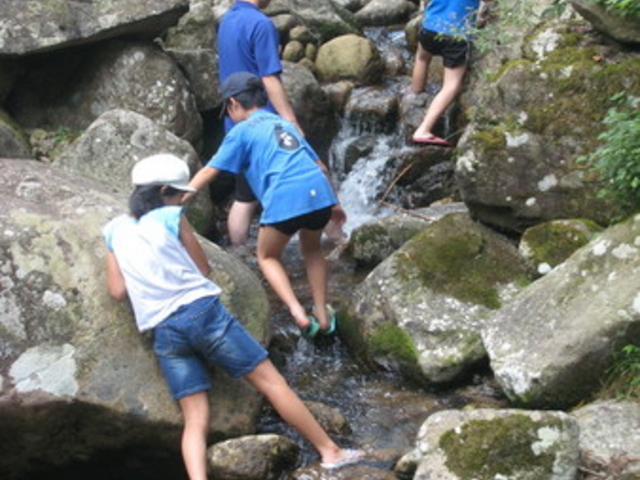 �_�肢�����̑��O���[���G�R�[�}�`