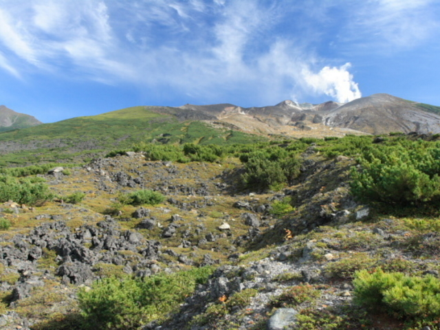 �\���x�]�x��