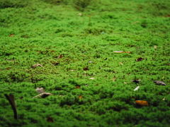 ���Z���̎ʐ^1