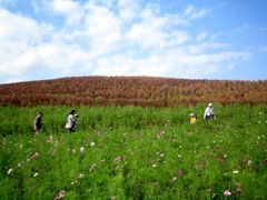 manayuna̍cЂClւ̓eʐ^1