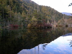 ���_�r�̎ʐ^1