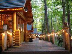 Ձ[̃VbsO[hujOeXvւ̓eʐ^1