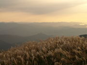 �̂ё�����̐��΍����̓��e�ʐ^1