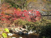 ̂̂ςς̕mkJ̓eʐ^1