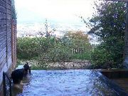 ɂ܂邳̒}@Vq̋̓eʐ^1