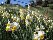 �̂̂ςς���̓单�␅�勽�̓��e�ʐ^1