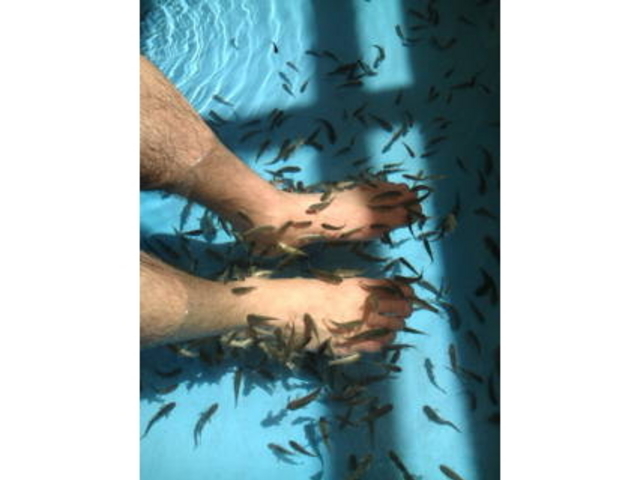 �e�������B�������[��