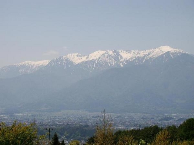 ����V���N�~���[�W�A��