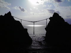 ݂񂮂݂₿搶̗Y̊ւ̓eʐ^1