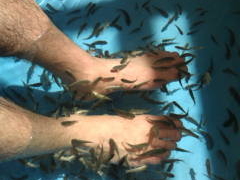 炷邳̃eB[ւ̓eʐ^1