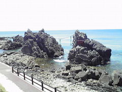 ݂񂮂݂₿搶̗Y̊ւ̓eʐ^1